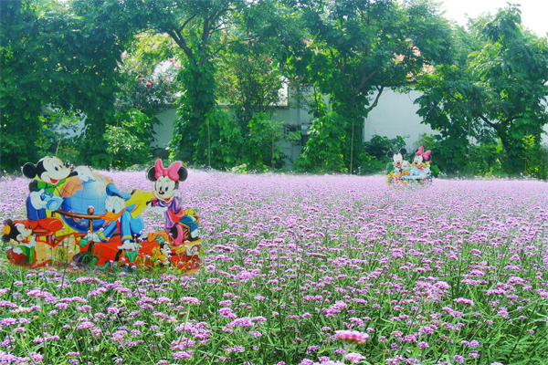 广州花都香草世界拓展训练基地